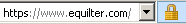 Internet Explorer 8 Security Lock