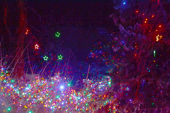 Zoolights2A_W