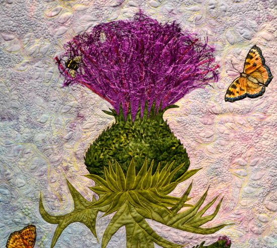 RosPollockJaggyThistle_550