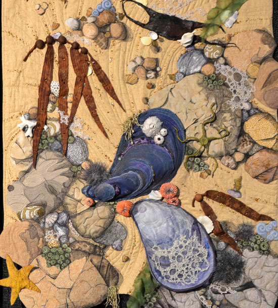 HollyAltmanTidalPool_W