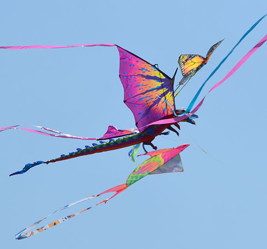 DragonKite1_550