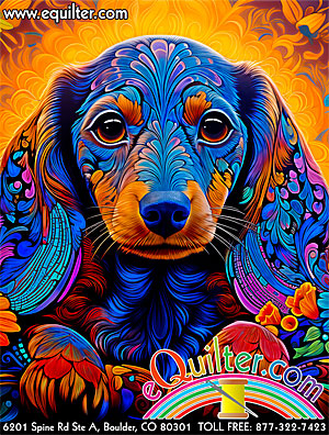 Dazzling Dachshund, July 2025