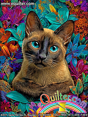 Siamese Heaven, November 2025