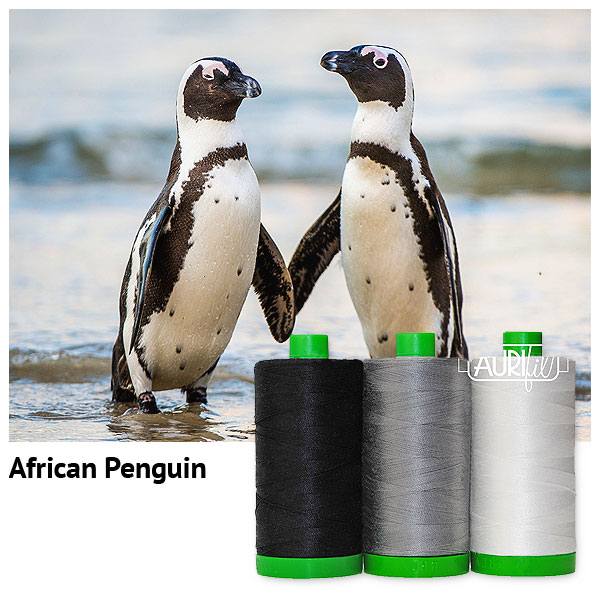 Aurifil Thread Set - Endangered Species - African Penguin