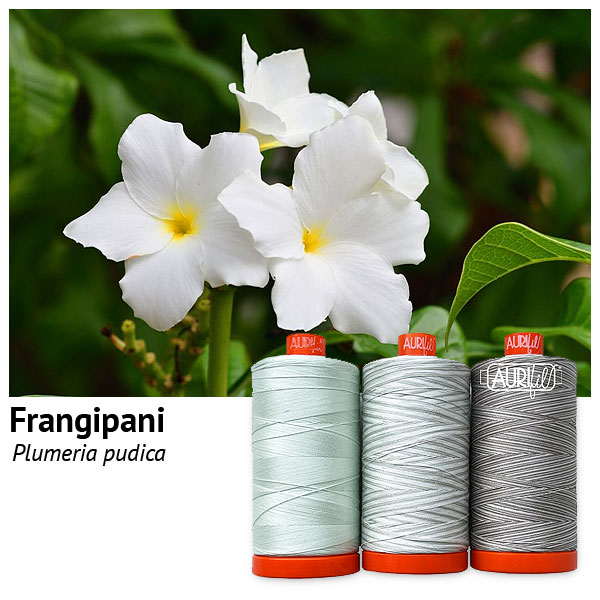 Aurifil Thread Set - Flora - Frangipani