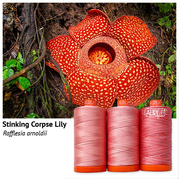 Aurifil Thread Set - Flora - Stinking Corpse Lily