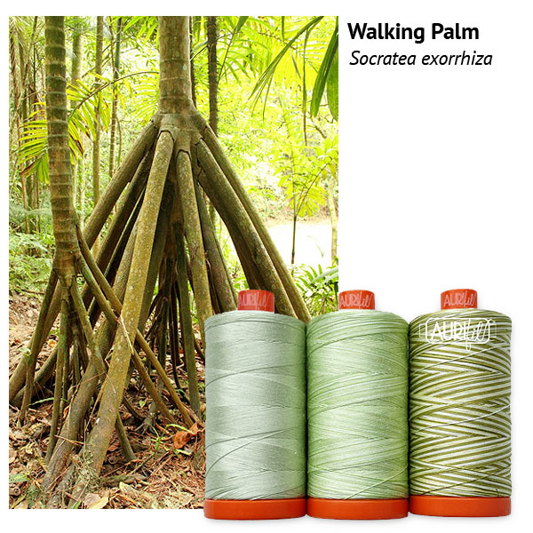 Aurifil Thread Set - Flora - Walking Palm