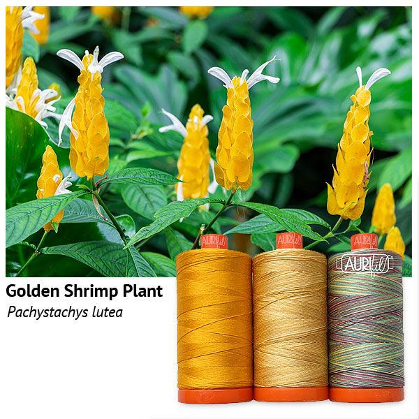 Aurifil Thread Set - Flora - Golden Shrimp Plant