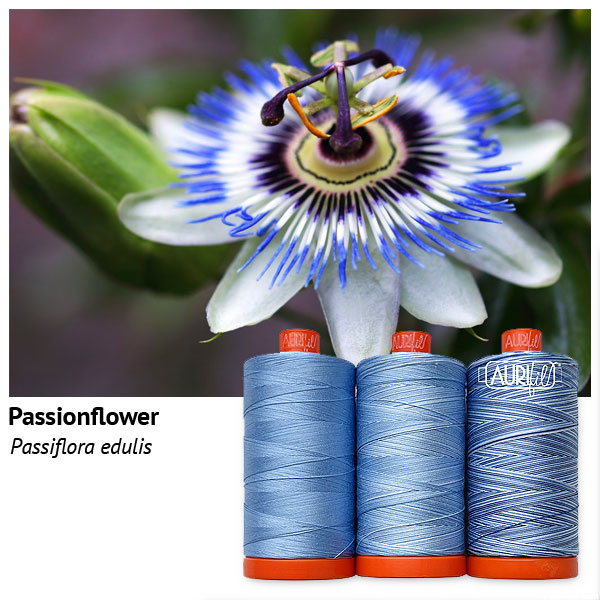 Aurifil Thread Set - Flora - Passionflower