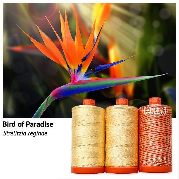 Aurifil Thread Set - Flora - Bird of Paradise