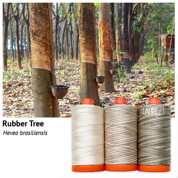 Aurifil Thread Set - Flora - Rubber Tree