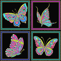Alluring Butterflies - Ann Lauer