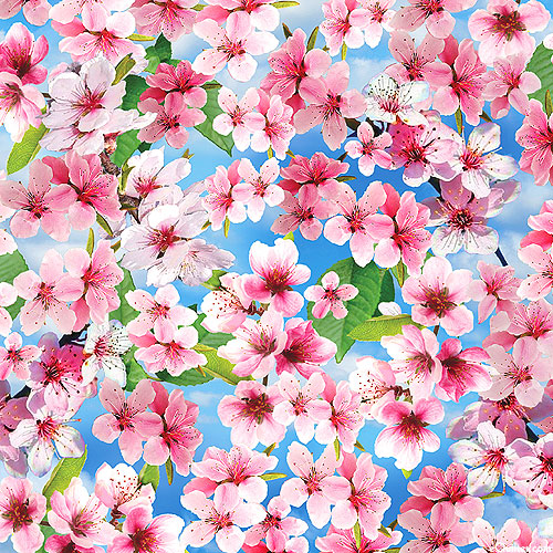 Cherry Hill - Sakura Blossoms - Sky Blue - DIGITAL