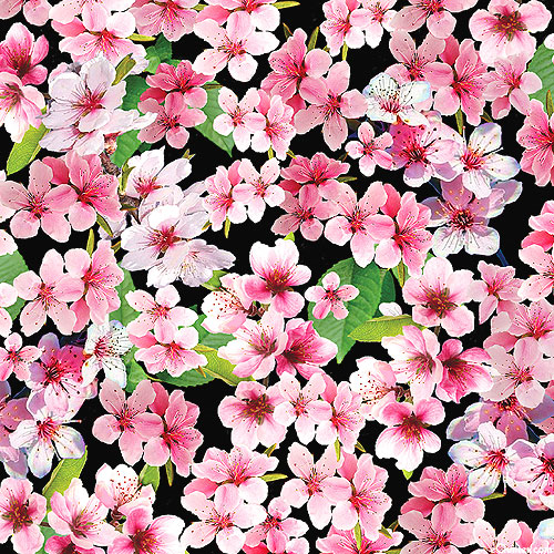 Cherry Hill - Sakura Blossoms - Black - DIGITAL