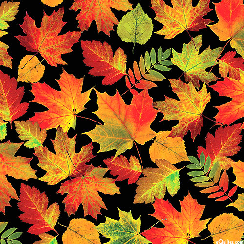 Cider House - Autumn Leaves - Black - DIGITAL