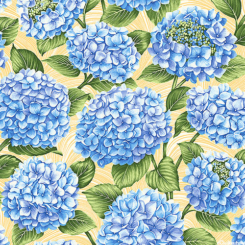 Hydrangea Blue - Blossoming Surprise - Butter Yellow