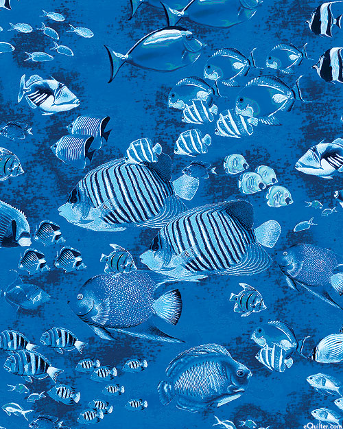 Oceana - Fish Schools - Navy Blue