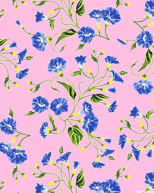 A Painted Garden - Morning Glories - Retro Pink
