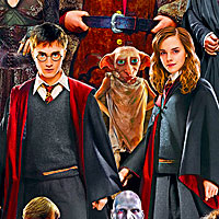 Harry Potter Quilt Backing