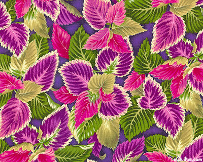 Flower Show III - Coleus Leaves Display - Violet