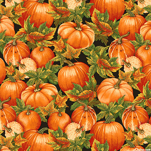 Turkey Time - Pumpkin Fields - Black