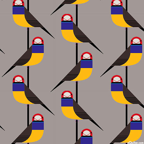 Discovery Place - Gouldian Finch - Ash Gray - ORGANIC COTTON