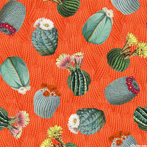 Desert Bloom - Cactus Toss - Persimmon