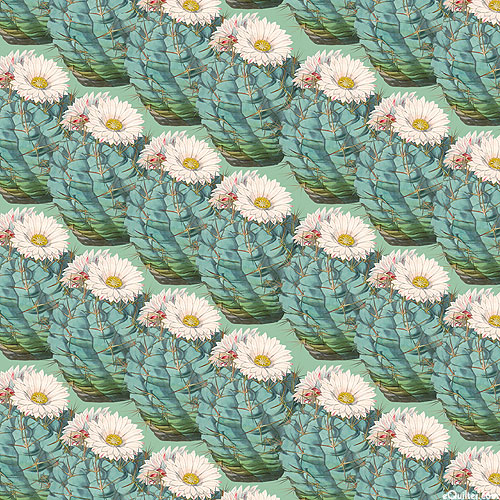 Desert Bloom - Succulent Stripe - Mint