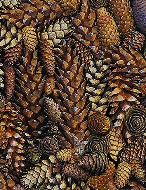 Natural Treasures II - Pinecone Pile - Bark Brown