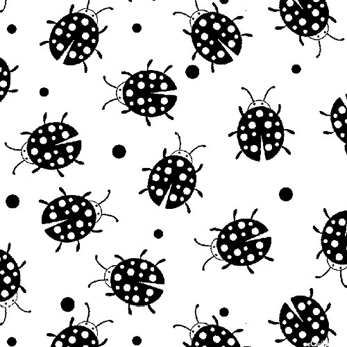 Paradox - Dots & Ladybugs - White