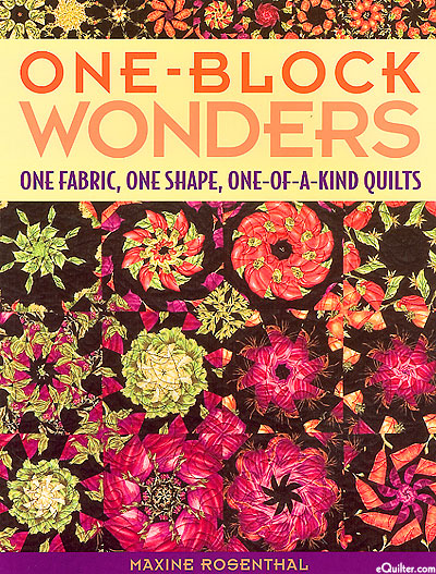 One Block Wonders - One Fabric, One Shape, One-of-a-Kind Quilts