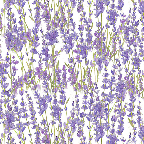 Enjoy The Little Things - Lavender Fields - Milk White - DIGITAL