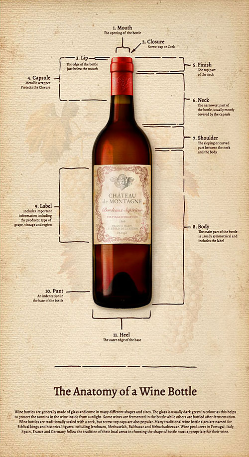 Cheers - Wine Bottle Anatomy - Toast Beige - 24" x 44" PANEL
