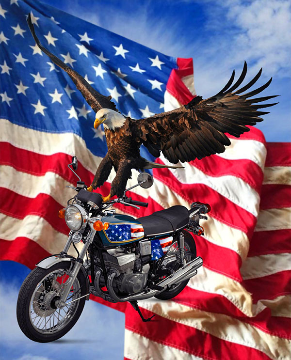 American Pride - Biker Eagle - Sky Blue - 36" x 44" Panel