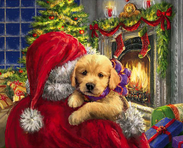 Christmas 2024 - Santa & Puppy - Multi - 36" x 44" PANEL