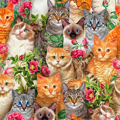 Nature's Finest - Cats and Flowers - Persimmon - DIGITAL