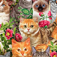 Nature's Finest - Cats and Flowers