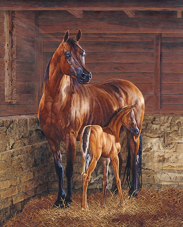 And God Created the Horse - Chestnut - 36" x 44" PANEL