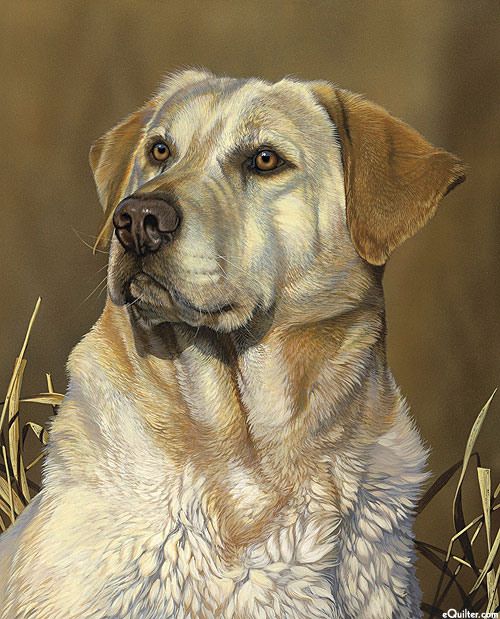 Yellow Lab - Biscuit Brown - 36" x 44" PANEL - DIGITAL