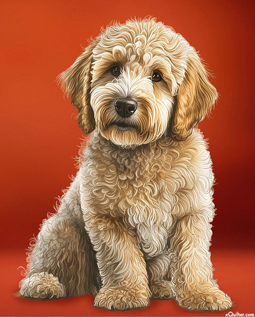 Lovely Labradoodle - Cinnamon Red - 36" x 44" PANEL - DIGITAL