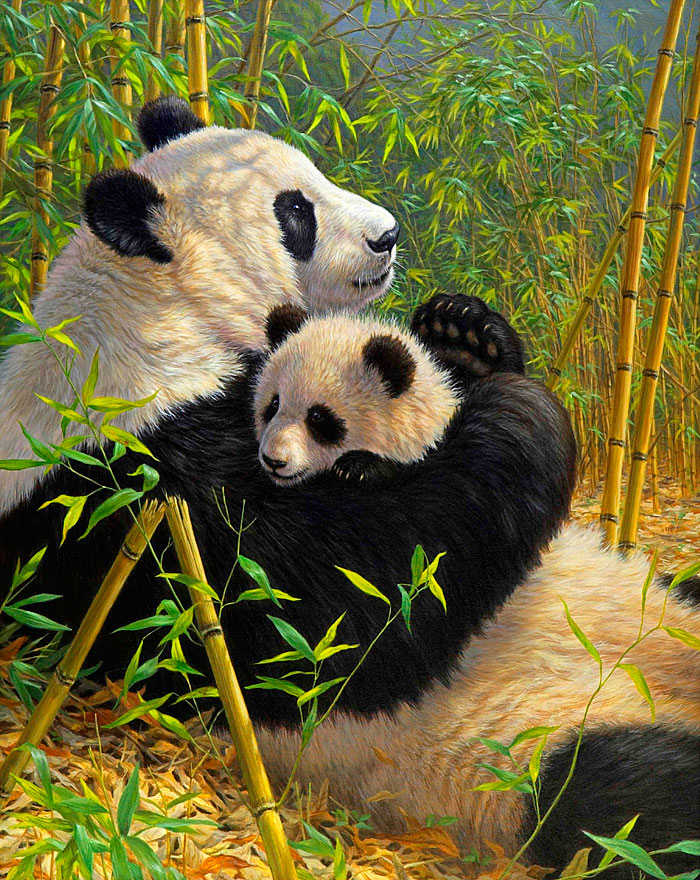 A New Dynasty - Giant Pandas Panel - Bamboo - 36" x 44" PANEL