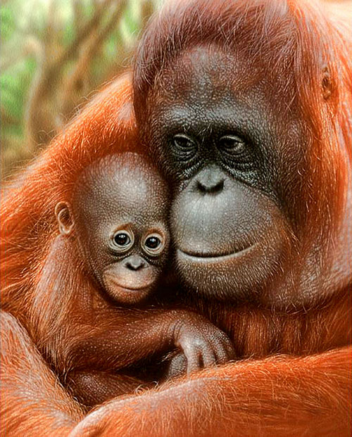 Endangered - Orangutan Momma - Rust - 36" x 44" PANEL