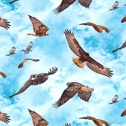 North American Wildlife - Soaring Hawks - Sky Blue