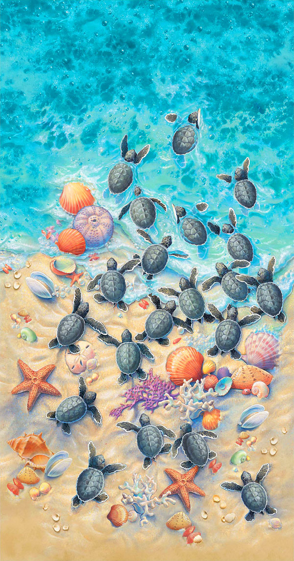 Race to Safety - Turtle Escape - Turquoise - 24" x 44" PANEL