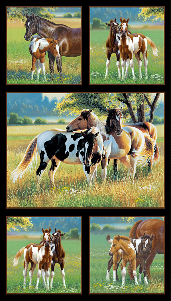 Pasture Buddies - Springtime Foals - Black - 24" x 44" PANEL