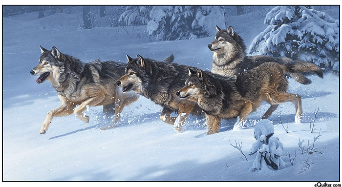 Canis Lupus - Wandering Wolves - Slate Blue - 24" x 44" PANEL