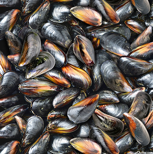 Food Festival - Fresh Mussels - Slate Gray