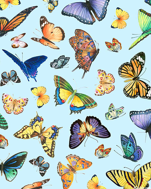Delicate Creation - Butterflies In Flight - Baby Blue