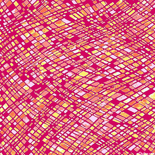 Dianthus - Mosaic Wave - Raspberry Jam
