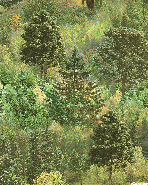 Mountain View - Pine Forest - Spruce Green - DIGITAL PRINT